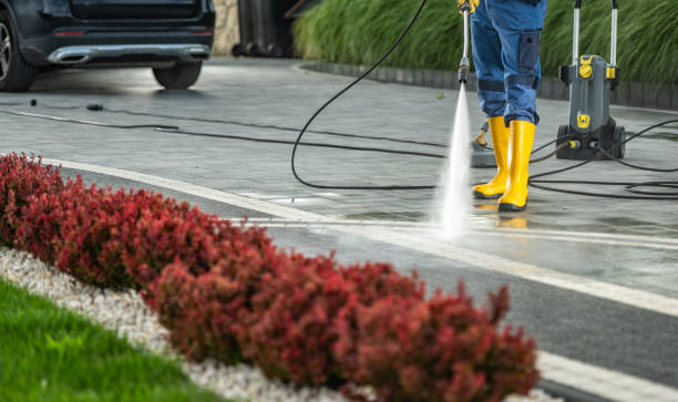 Best Sidewalk and Walkway Cleaning  in Bright, IN
